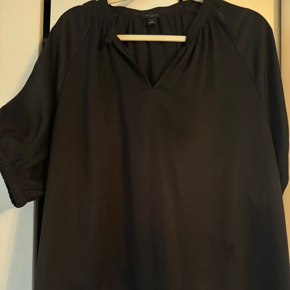 Ann Taylor Blouse Petite XL - so pretty!